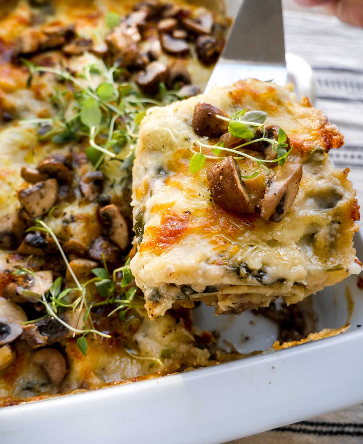 luksus lys lasagne med svampe og spinat og linser
