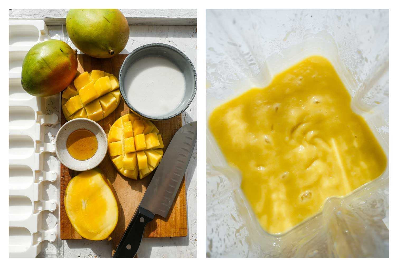 hjemmelavet mango is sund opskrift