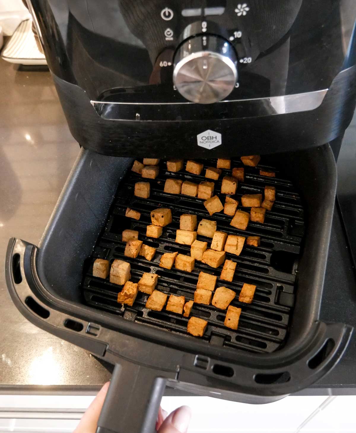 airfryer opskrifter i rist